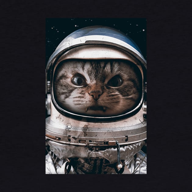 Space Catet by SeamlessOo